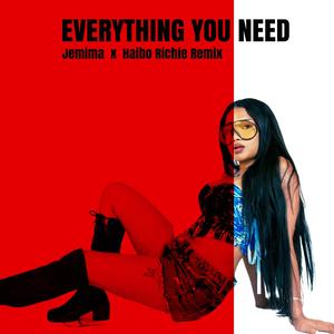 Everything you need (Haibo Richie Remix)