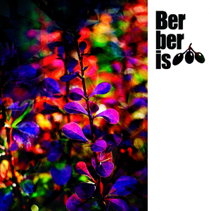 Tarantula (Original Mix)