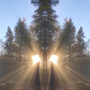 Persistence Of Vision