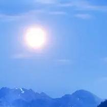 荒草丛生的青春