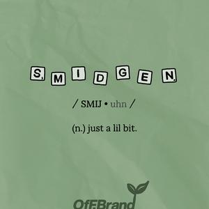smidgen. (n.) just a lil bit.