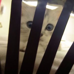 拉过勾的(只愿你会有感觉~)