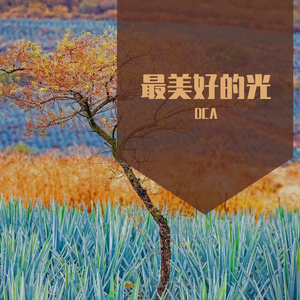美好的光