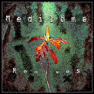 Prolapse record - talk for nothing (Medilöme remix)