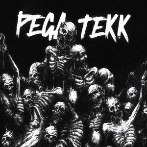 PEGA TEKK