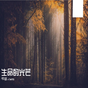 生命的光芒