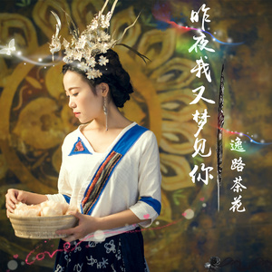 昨夜我又梦见你