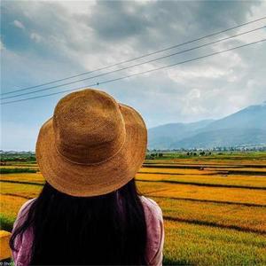 夏日甜系唯美纯音乐（八音盒）