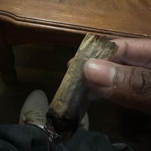 Terp