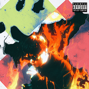 在天上飞 我们一起