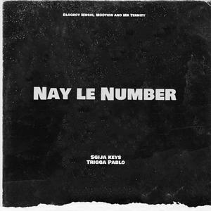 Nay le Number (feat. Blaqboy Musiq, M00tion & Mr Ternity)
