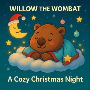 Winter Blanket of Stars