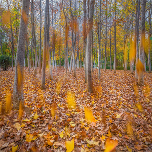 世界末日的遐想