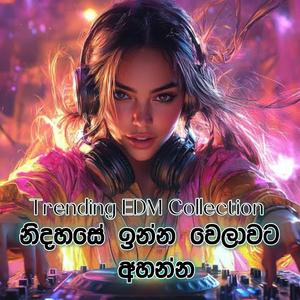 Trending EDM Sinhala song Collection නිදහසේ ඉන්න වෙලාවට අහන්න