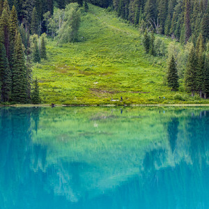 고요한 산과 들 : 자연음악