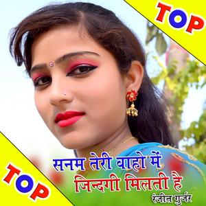 Sanam Teri Baho Me Jindagi Milti Hai