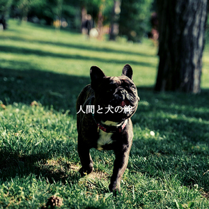 Fabulous (Positive Feelings)