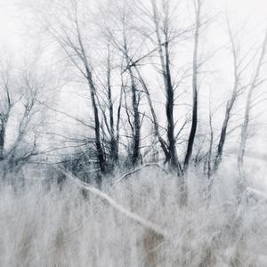 迟来的情话（抖音热搜版）