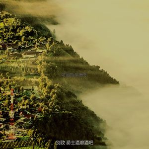 精彩公司大事记环境