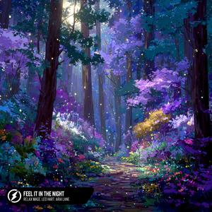 Feel It In The Night