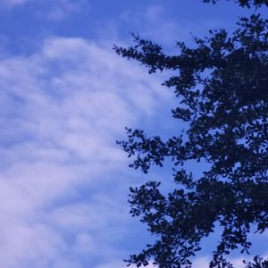 时落叶影（Breakcore Bootleg）