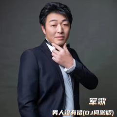 男人没有错 (DJ何鹏版)