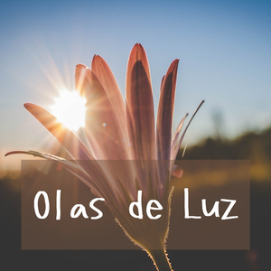 Reconfortante
