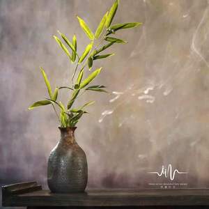 冷艳玫瑰 (休闲自愈)