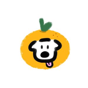 追星女的小小宇宙