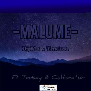 Malume (feat. Teekay RSA & Caltonator)