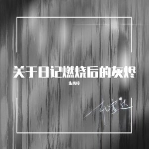 关于日记燃烧后的灰烬