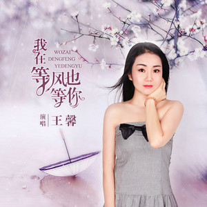 我在等风也等你