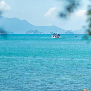 努力把黑夜点亮