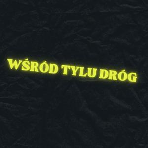 Wśród tylu dróg