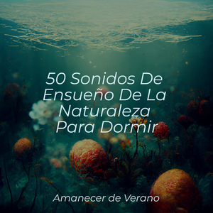 Cambio de Viaje Lumínico