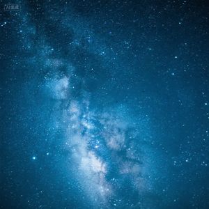 林间鸟鸣清晨歌