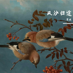 风沙与明月 伴奏