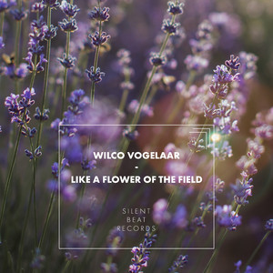 Like a Flower of the Field