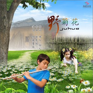 野菊花 (吉特巴舞曲加长版)