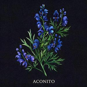 Aconito