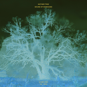 Improv - Insect Speed