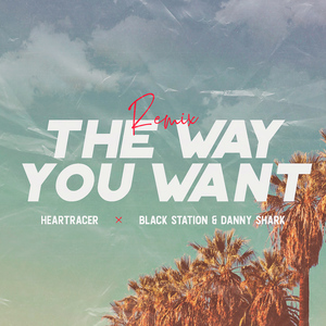 The Way You Want ((Black Station & Danny Shark Remix))