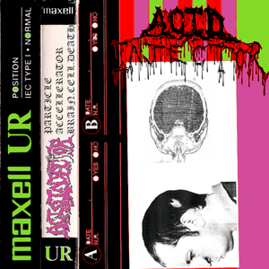 A FLASH BRIGHTER THAN A THOUSAND SUNS