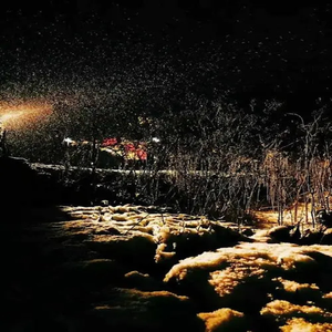 我的心下起了雪