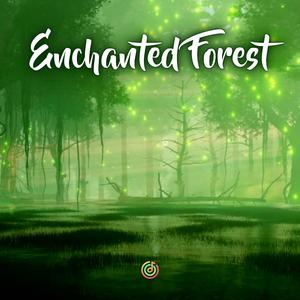 Enchanted Forest