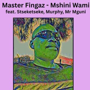Mshini Wam (feat. Stseketseke, Murphy & Mr Mguni)