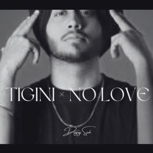 Tigini X No Love (Slowed + Reverb)