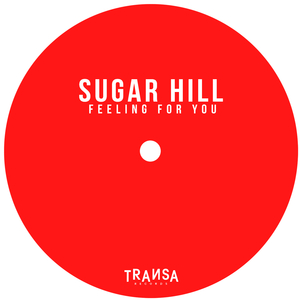 Feeling For You (Wasabi Dubby Re-Edit)