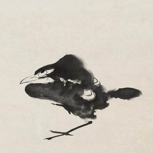 单足孤立 言和版