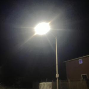 Angelic (feat. SUNNY PAFH)